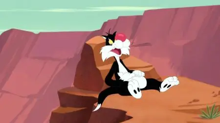 Looney Tunes Cartoons S04E20