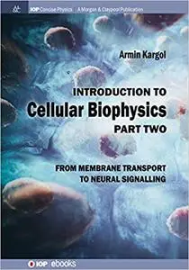 Introduction to Cellular Biophysics, Volume 2: From Membrane Transport to Neural Signalling