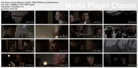 Snow falling on Cedars (1999) [Re-UP]