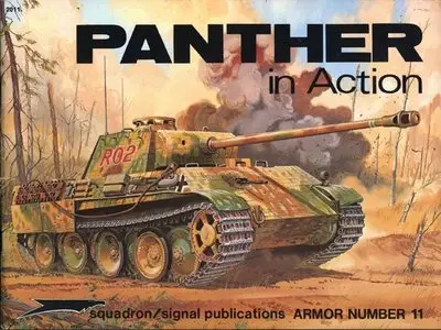 Panther in Action