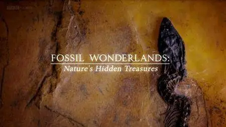 BBC - Fossil Wonderlands: Nature's Hidden Treasures (2014)