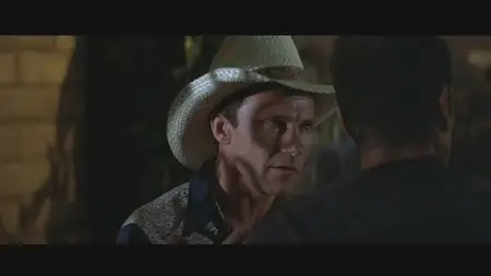 The Border (1982)
