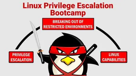 INE - Linux Privilege Escalation Bootcamp