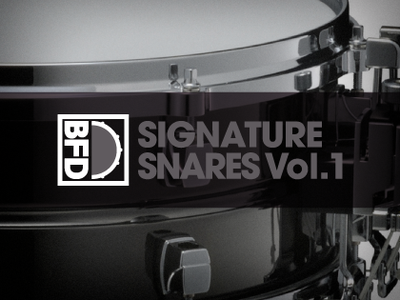 FXpansion BFD Signature Snares Vol 1 WiN