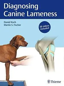 Diagnosing Canine Lameness