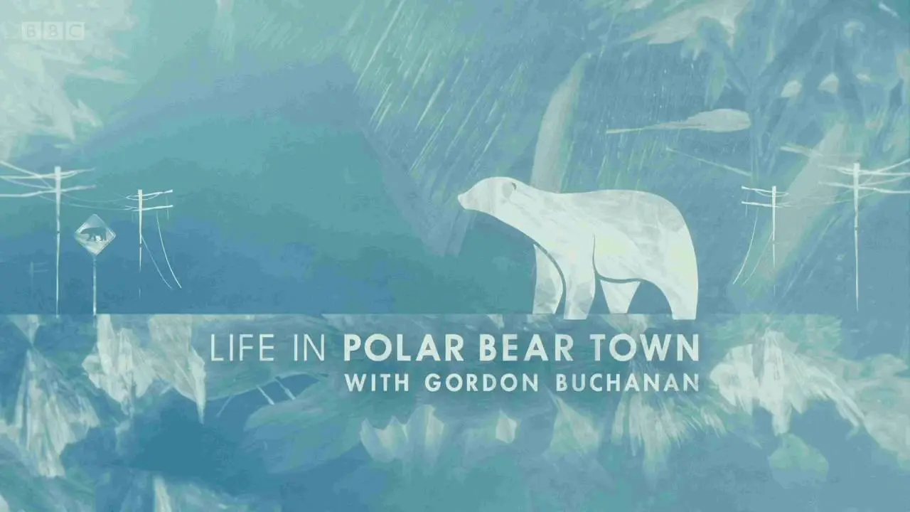 BBC - Life in Polar Bear Town with Gordon Buchanan (2016)