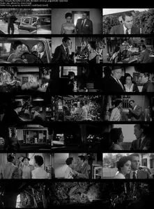 Invasion of the Body Snatchers (1956) 