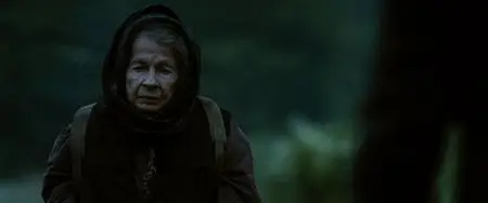 Poklosie / Aftermath (2012)