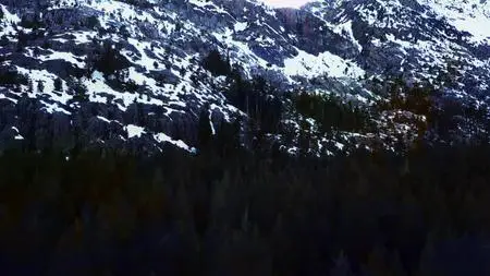 Extinct or Alive S02E10