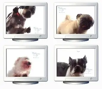 Dog Screen Cleaner Screensavers – 4 Different Dogs 