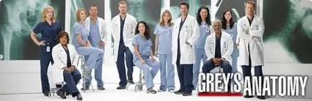 Grey's Anatomy S07E14