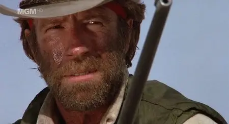Lone Wolf McQuade (1983)