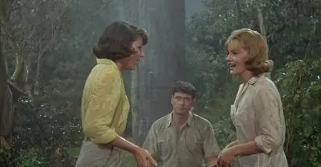 Man's Favorite Sport? (1964)