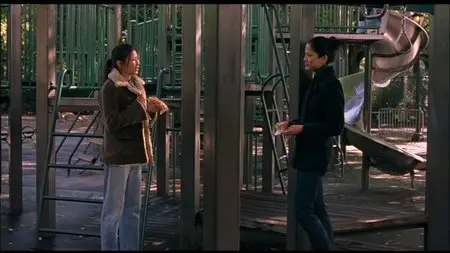 Saving Face (2004)