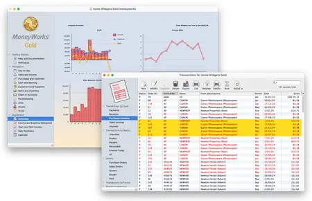 MoneyWorks Gold 9.1.9 (Win / macOS)