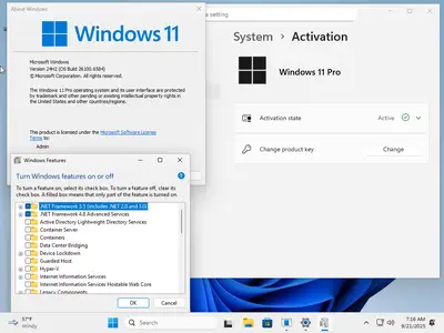 tiny11 Core 24H2 Build 26100.6584 Multilingual Preactivated