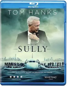 Sully (2016) [MultiSubs]