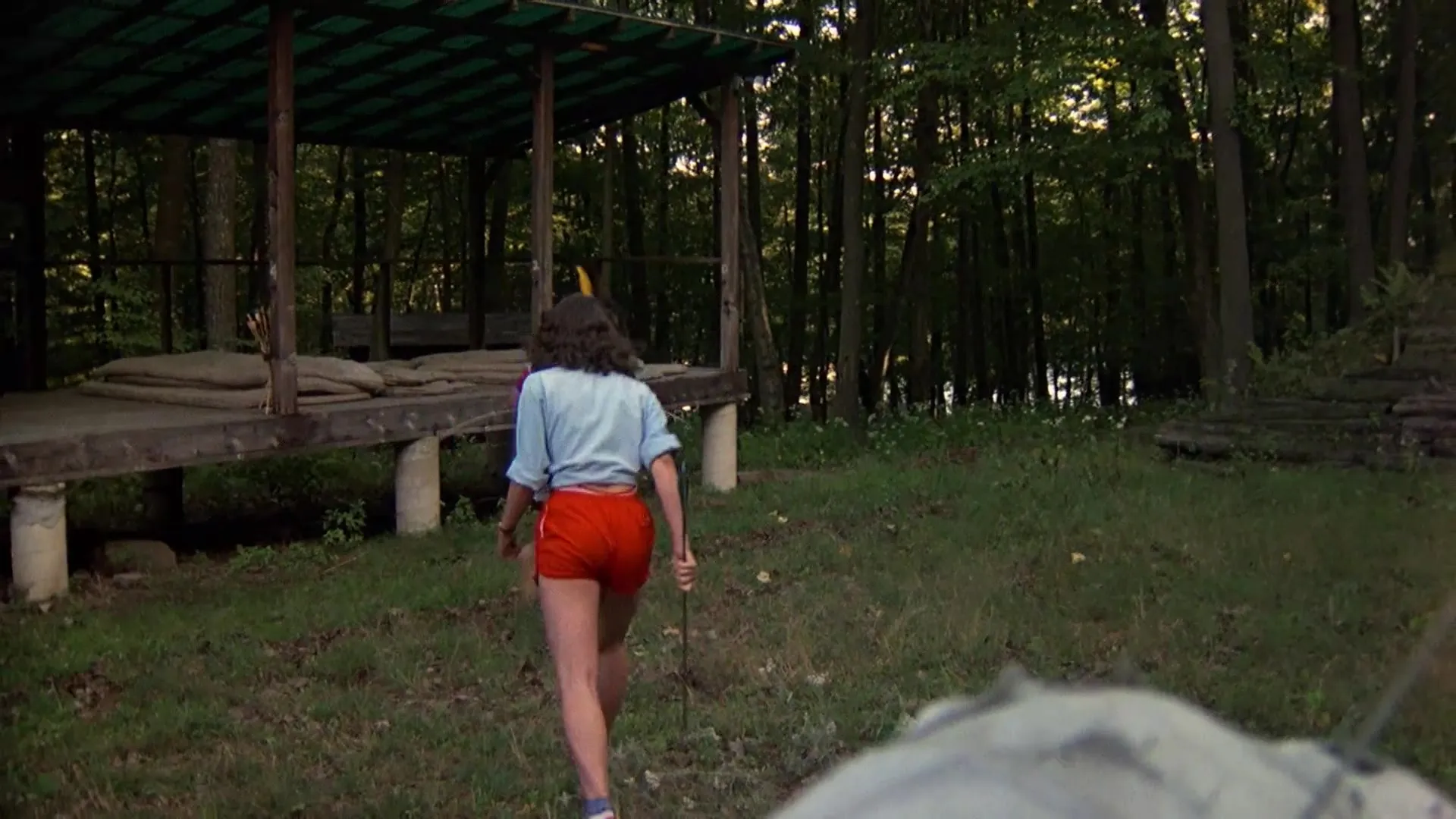 Friday the 13th (1980)