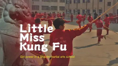 Little Miss Kung Fu (2017)