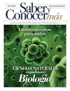 Saber y conocer más - 15 Agosto 2026