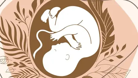 Sacred Womb Healing: A Shamanic Journey Into The Womb Space