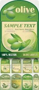 Stock Vector - Olive Labels