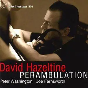 David Hazeltine Trio - Perambulation (2006)