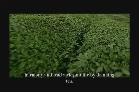 Chinese Culture - Chinese Cuisine & Chinese Tea