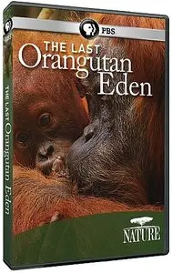 PBS - NATURE: The Last Orangutan Eden (2015)