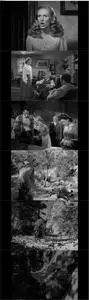 Ramrod (1947) [w/Commentaries]
