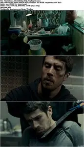 The Veteran (2011)