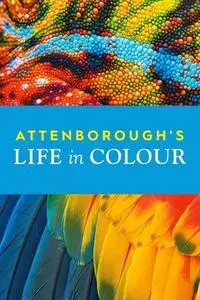 Attenborough's Life in Colour