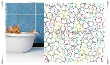 Shutterstock Free Vector & Image