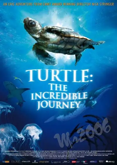 Turtle: The Incredible Journey (2009)