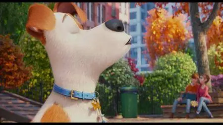 The Secret Life of Pets (2016)