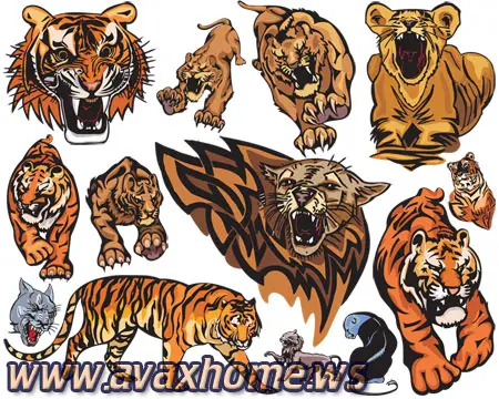 Vector - Big Cats Clipart