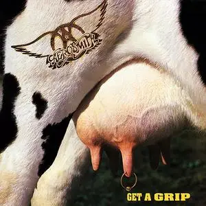 Aerosmith: Discography & Video (1973-2013) [21CDs, 18LPs, 13DVDs, Blu-ray]