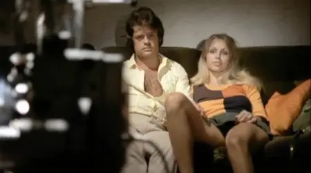 Stewardesses Report / Die Stewardessen (1971)