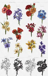 Floral vector pack 138-143