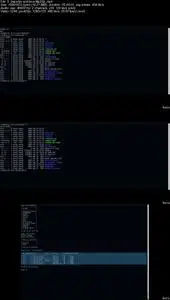Curso Básico de Base de Datos MySQL con Linux