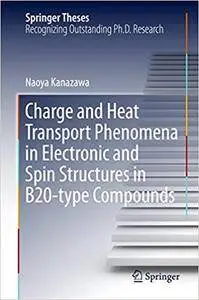 Charge and Heat Transport Phenomena in Electronic and Spin Structures in B20-type Compounds (Repost)