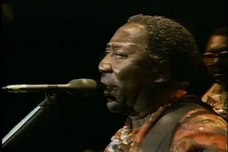 Muddy Waters - Live At The Chicago Blues Festival (1998)