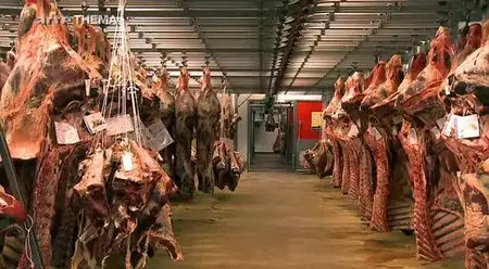 (Arte) Vers un crash alimentaire (2012)