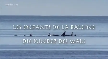 (Arte) Les enfants de la baleine (2013)