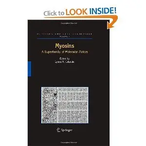 Myosins: A Superfamily of Molecular Motors