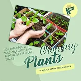 Growing Plants Plans For Your Kitchen Garden How To Develop A Vegetable Patch, Basil And Fruitlet In Simple Stages