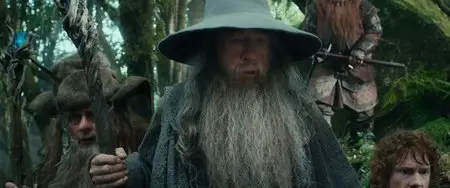 The Hobbit: An Unexpected Journey (2012)
