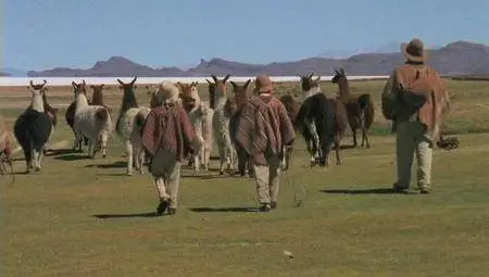 El regalo de la Pachamama / The Gift of Pachamama (2008)
