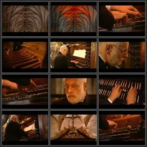 Ton Koopman Plays Bach [REPOST]