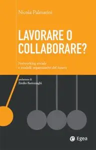 Nicola Palmarini - Lavorare o collaborare?